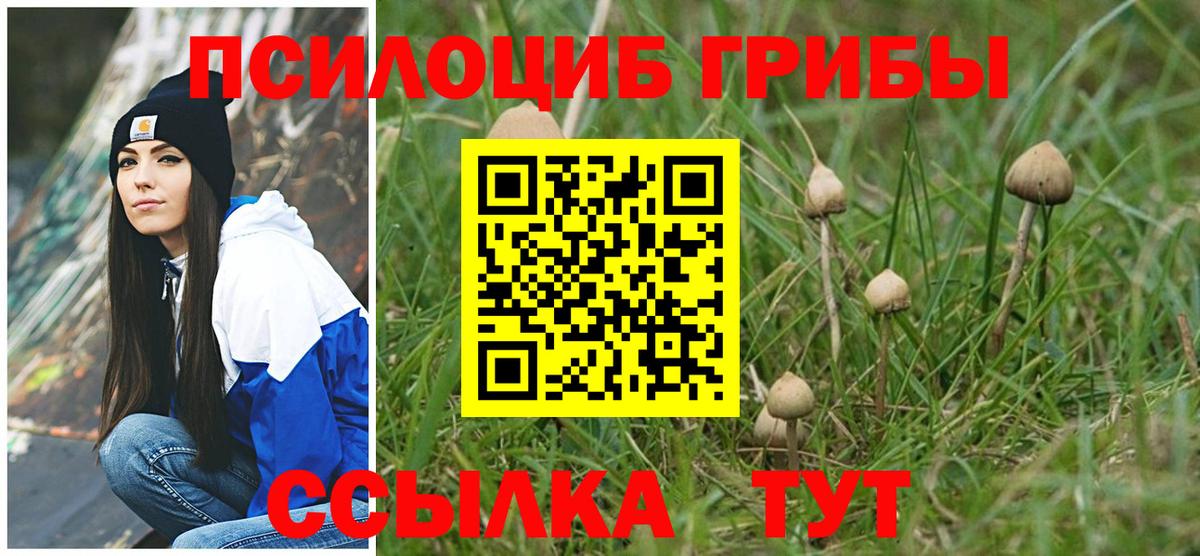 Елизово  Галлюциногенные грибы мухоморы  Вход с VPN 