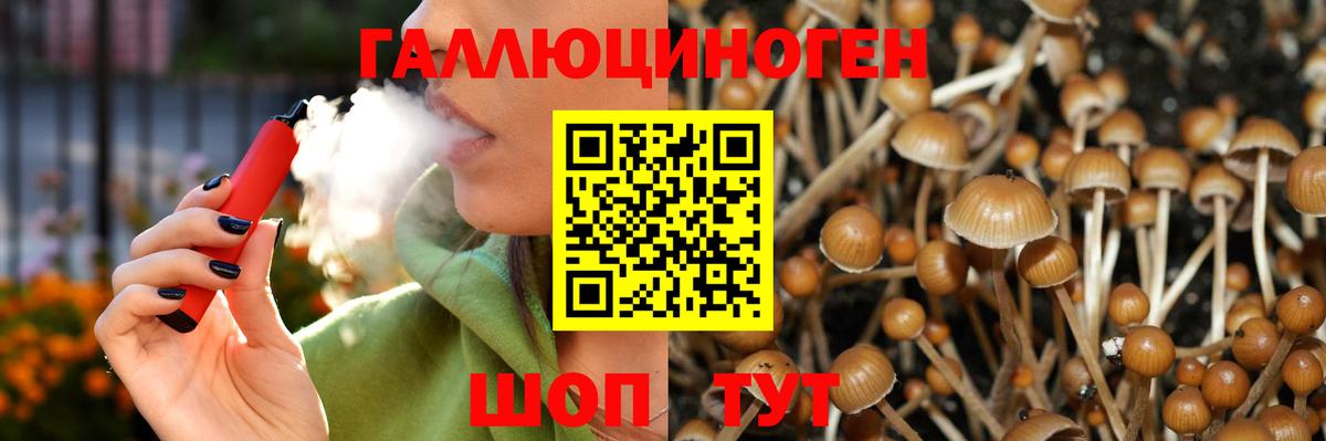 Псилоцибиновые грибы MAGIC MUSHROOMS Елизово
