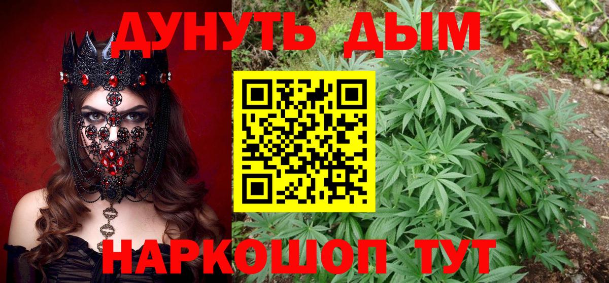 Елизово  МАРИХУАНА планчик  Вход с VPN  Бошки Шишки планчик  Бошки Шишки тримм 